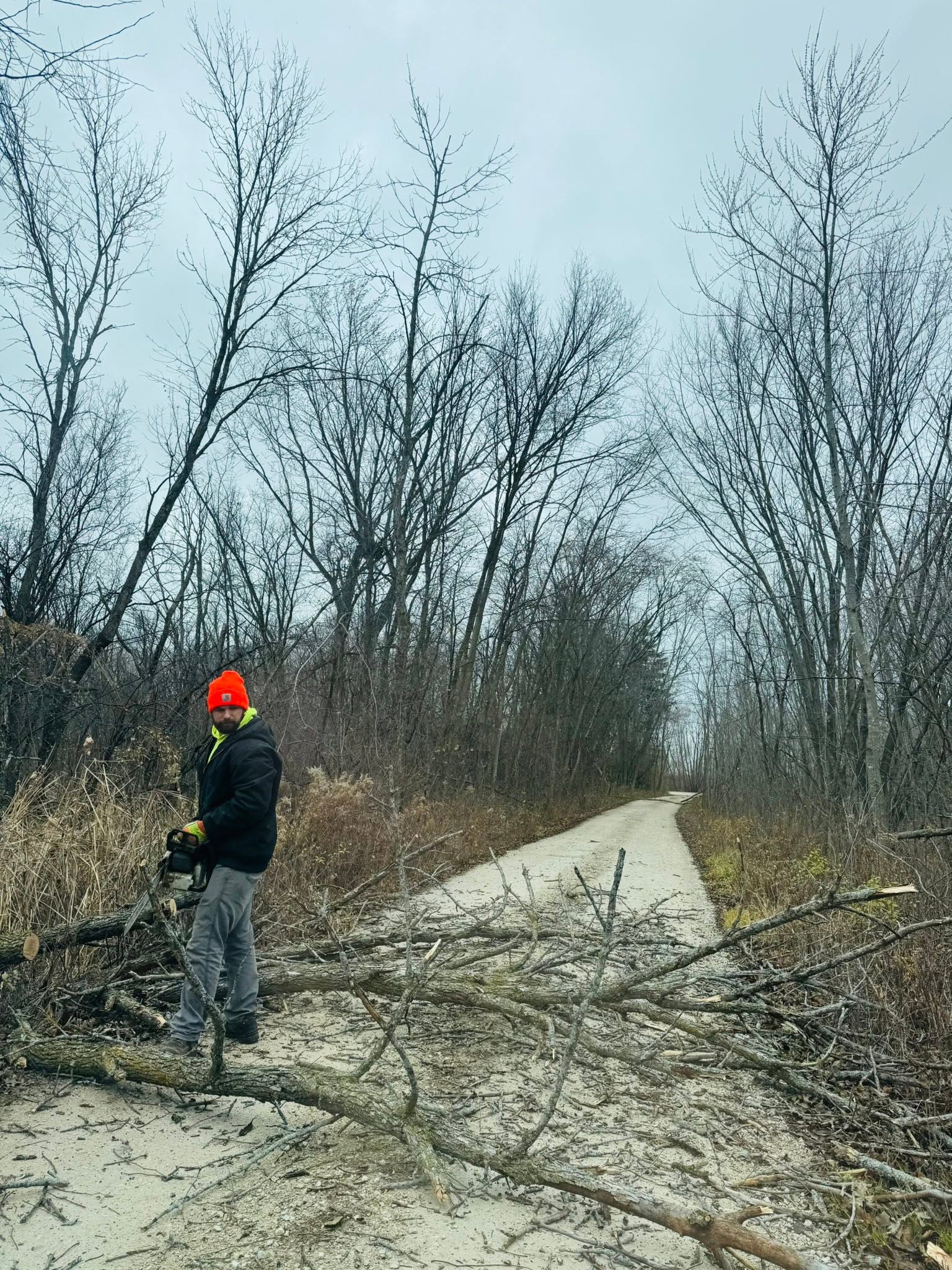 Clearing fallen trees from a trail