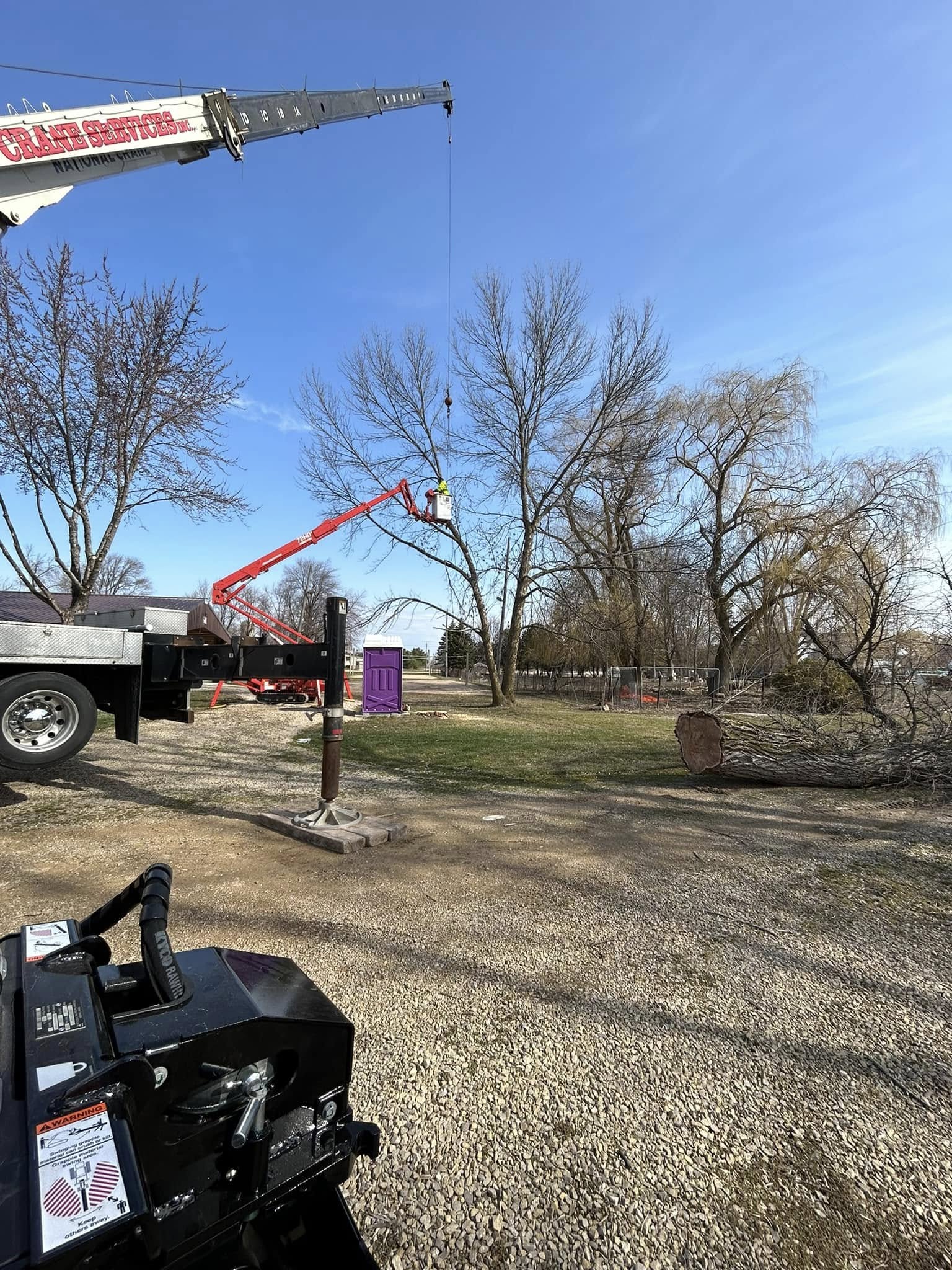Crane assisted tree removal