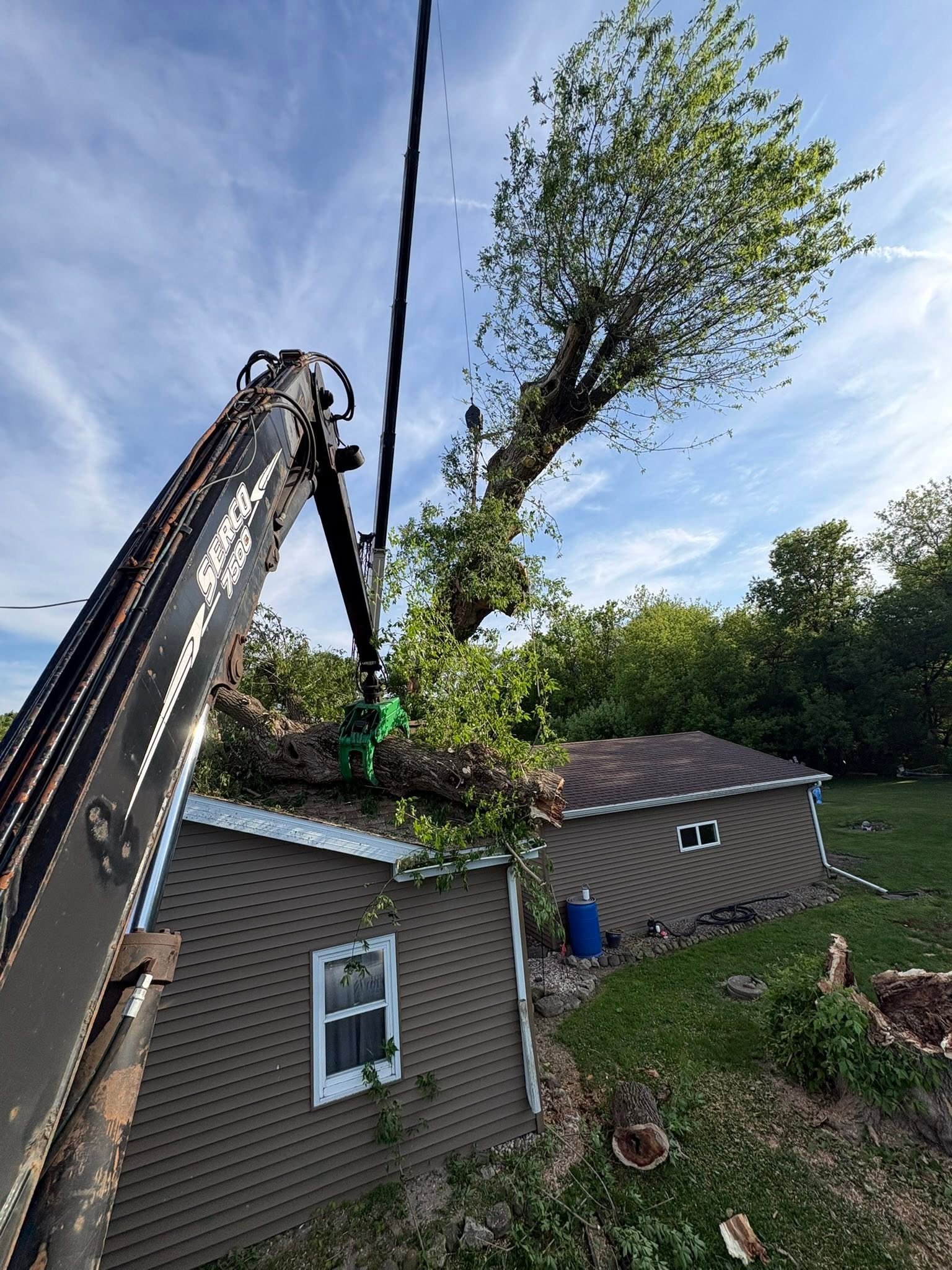 Grapple truck handling a large tree section