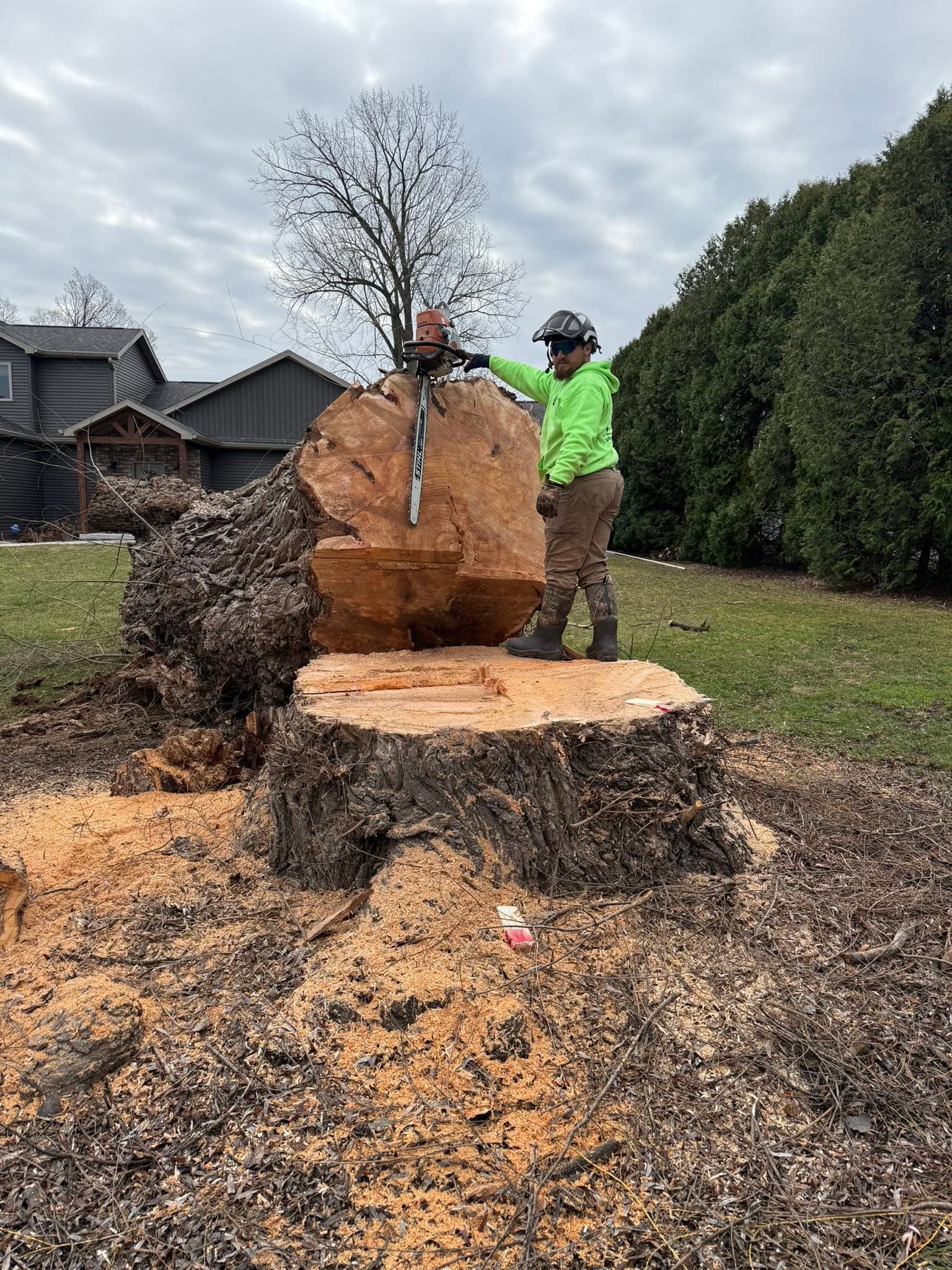 Matt of Triatik's Tree Service beside a large tree stump