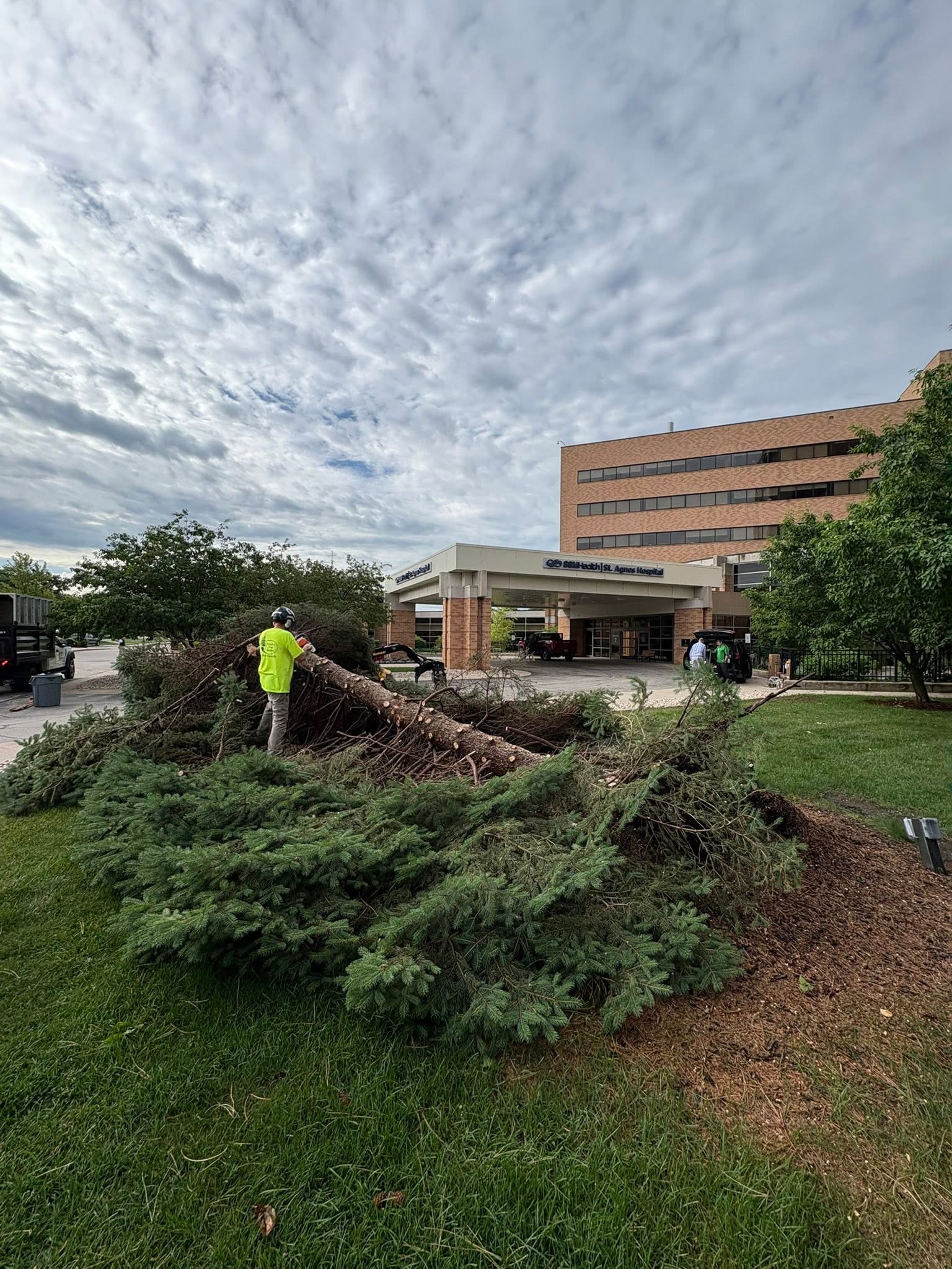Tree cleanup at a local hospital