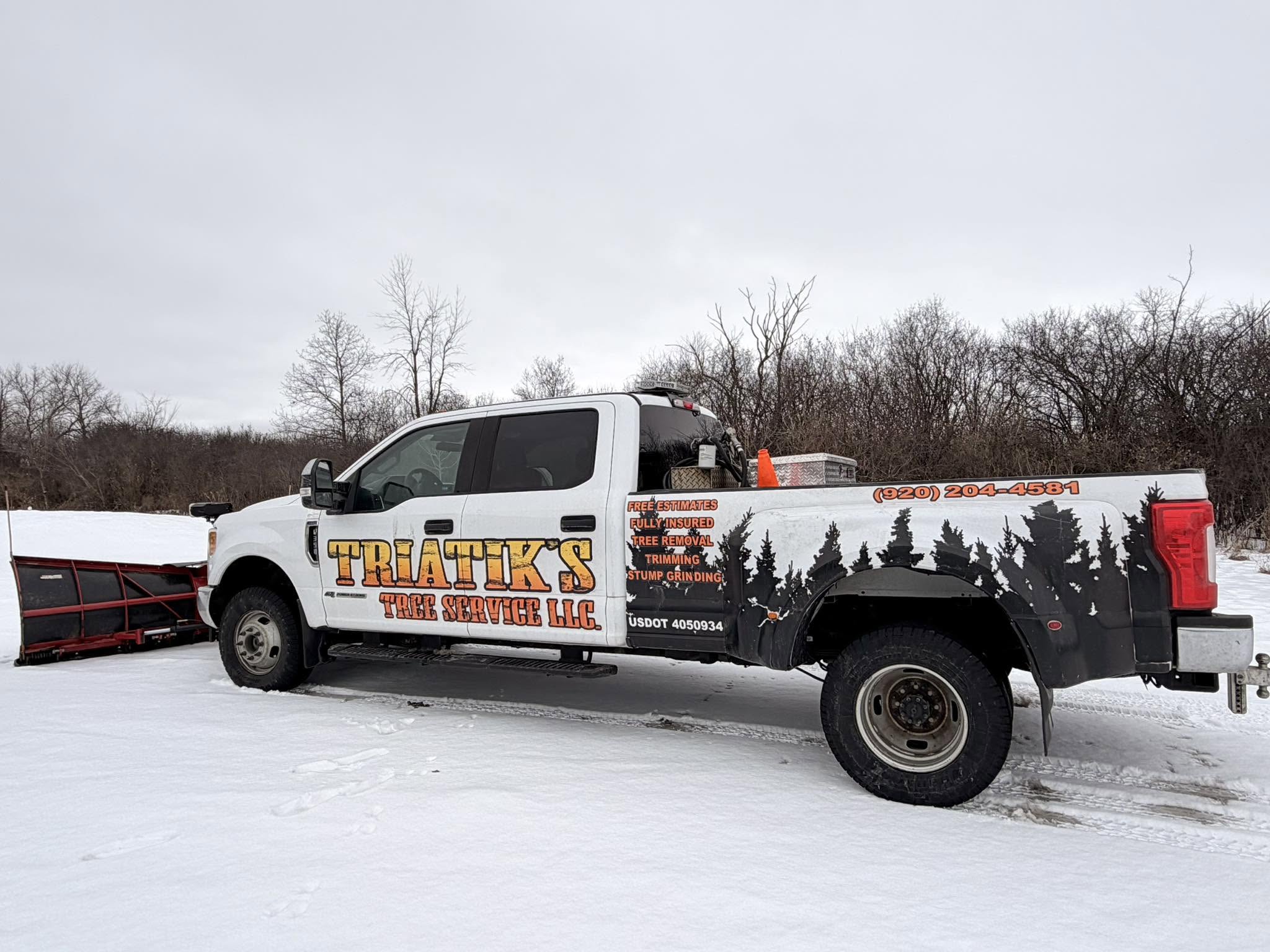 Tree removal during winter