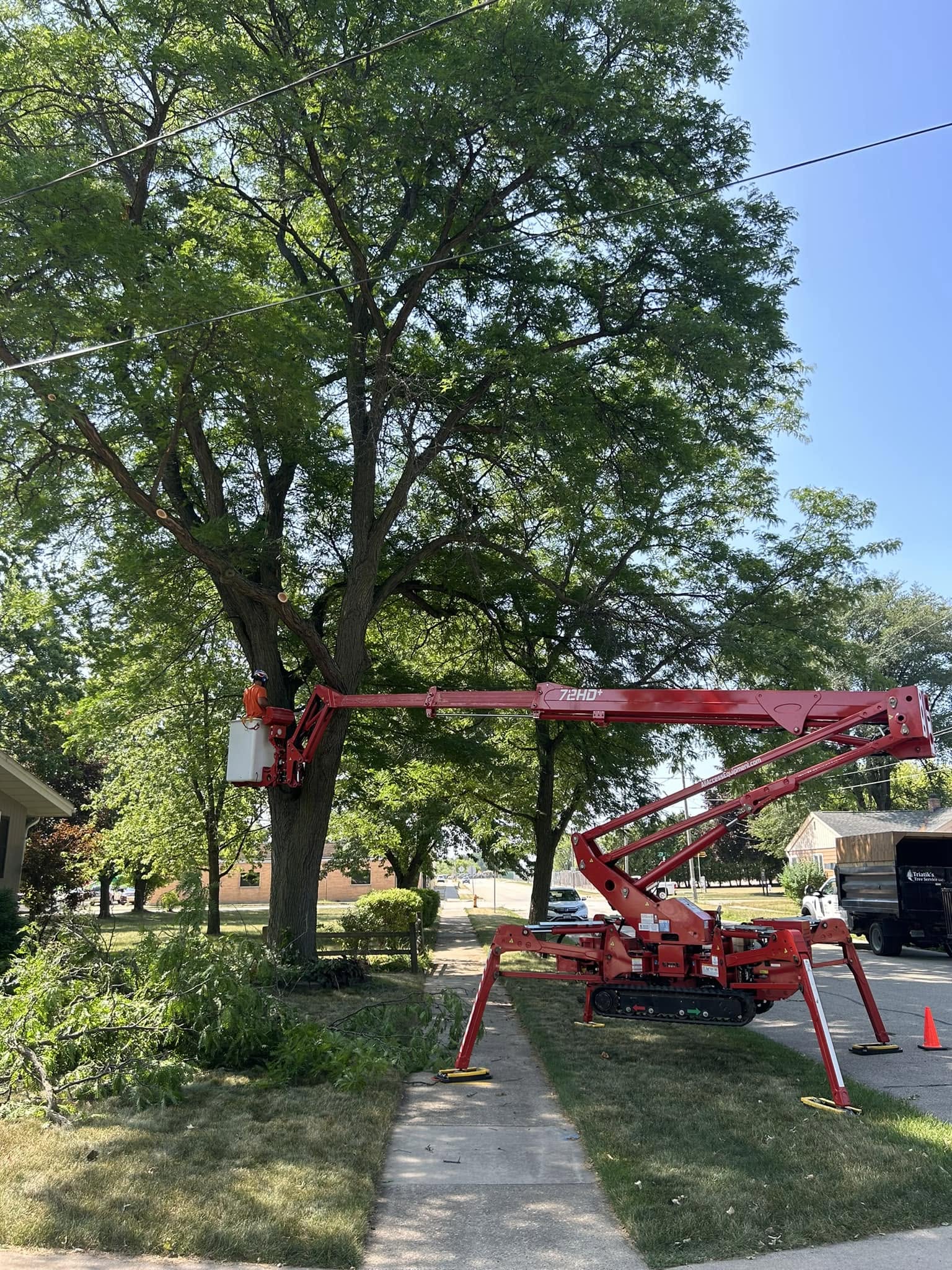Tree trimming from a lift