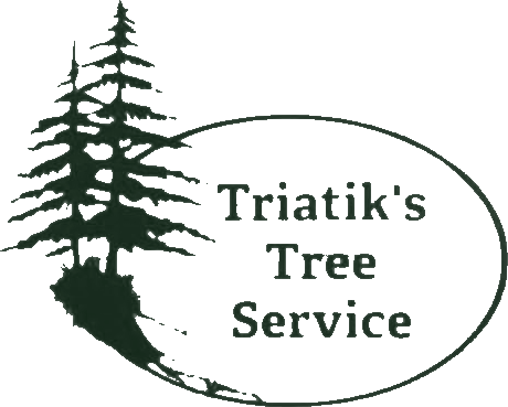 Triatik's Tree Service LLC logo